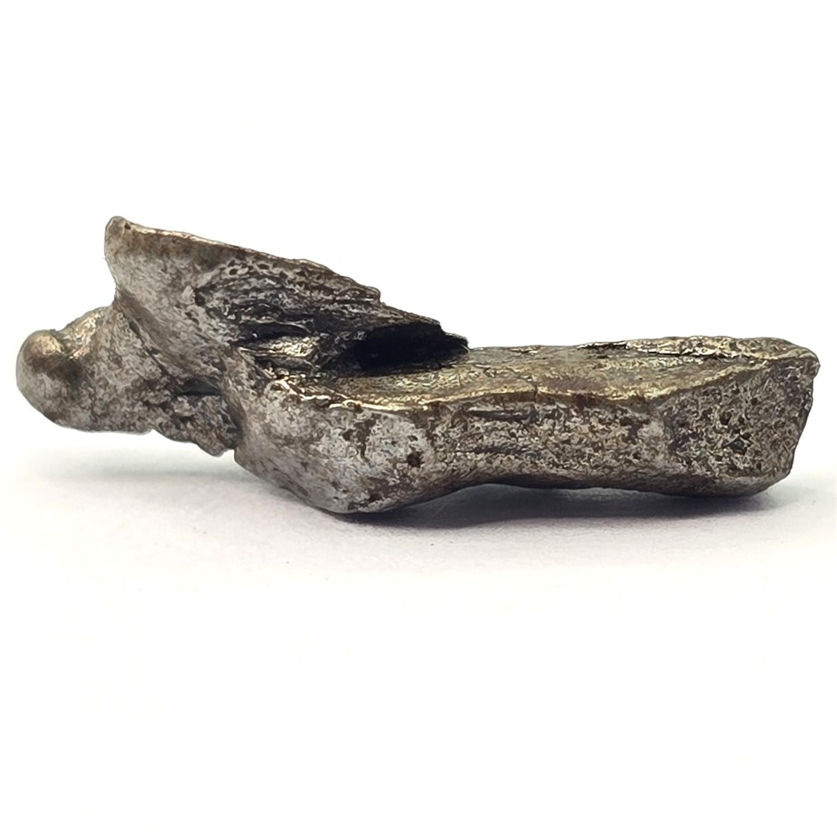 IRON METEORITE FRAGMENT FROM THE FAMOUS CAMPO DEL CIELO METEORITES ...