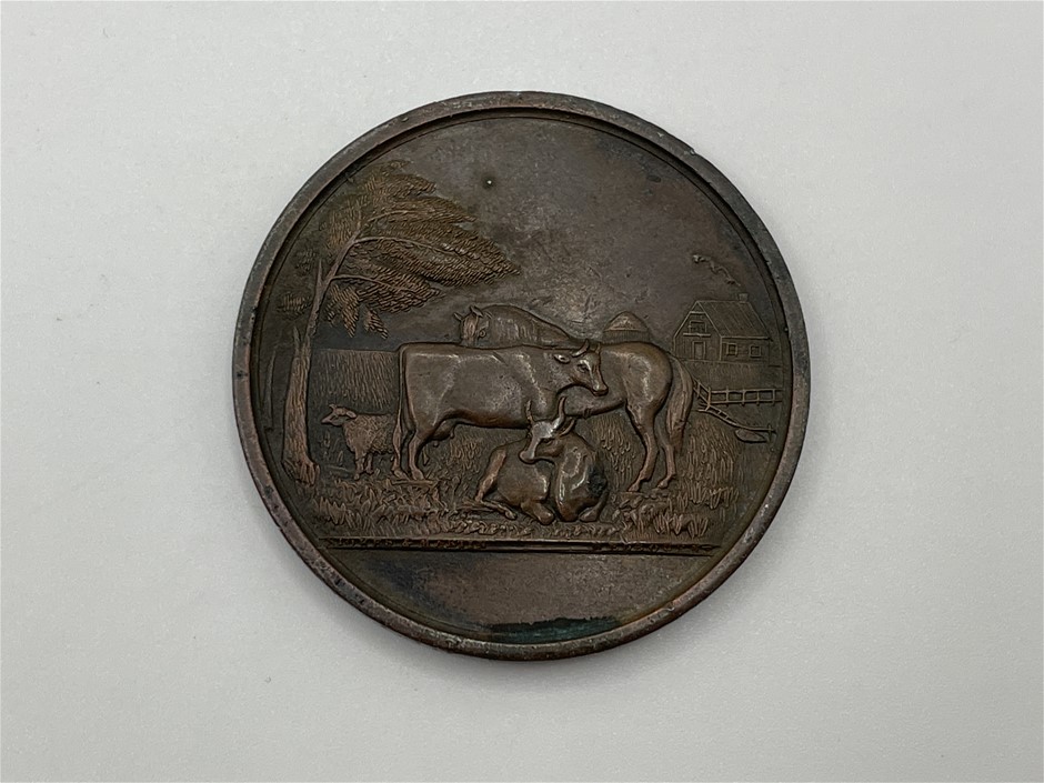 1882-au-hampden-heytesbury-past-agric-soc-bronze-medal-to-c-a