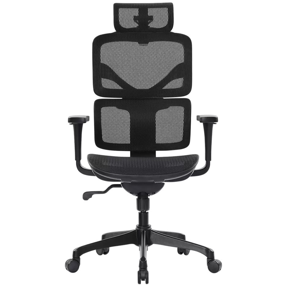 ERGOKING Martin Mesh Ergonomic Chair, T12A. NB: Assembled, minor use.