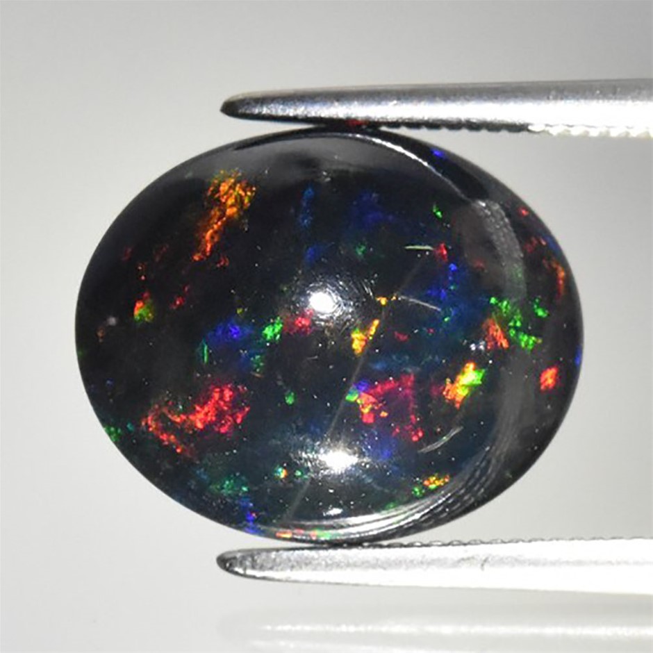 Stone Of Colours - Natural Black Opal Gemstones