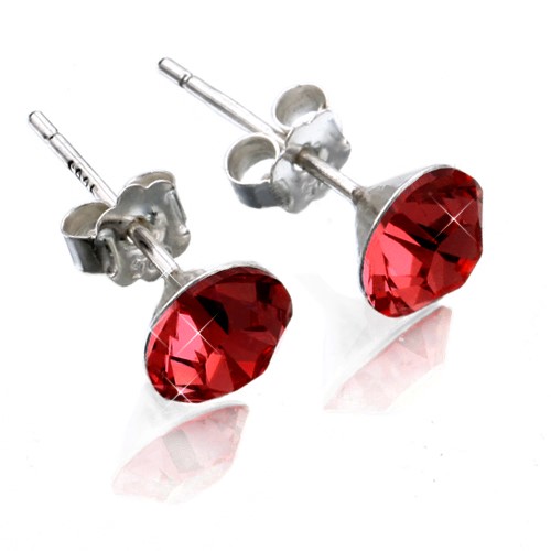 Solid 925 Sterling Silver Birthstone Earrings - January