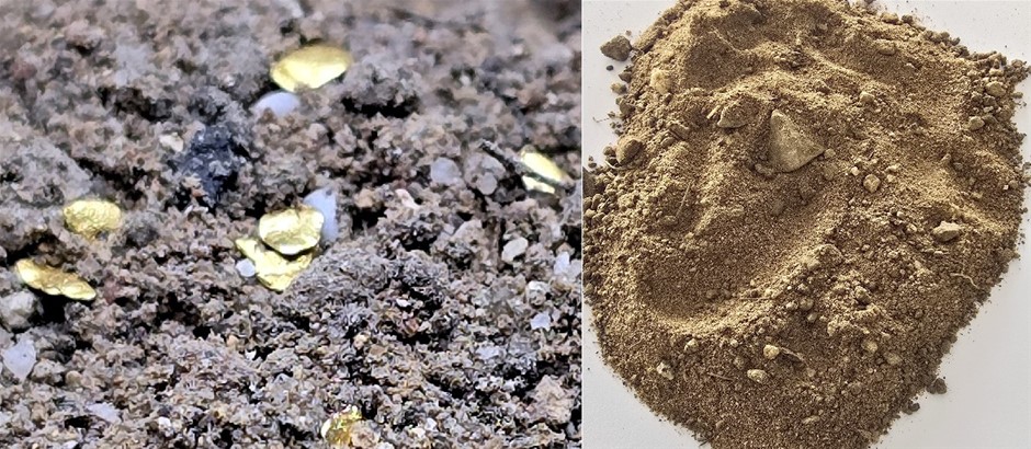 No Reserve Bulk Gold Paydirt Direct McPhillamys Gold Mines