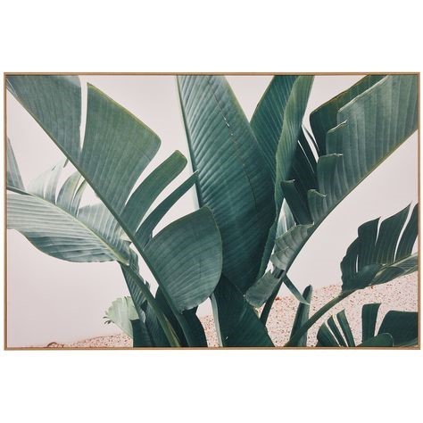 TEMPLE & WEBSTER Tropical Leaf Blush Framed Canvas  (80cm H x 120cm W x 2cm