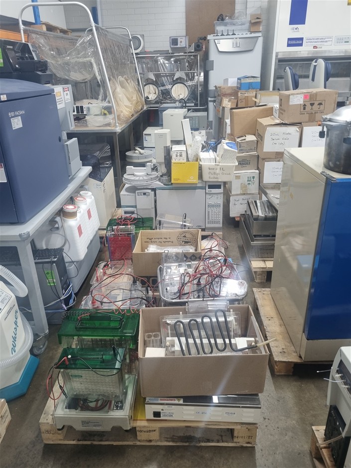 GST & Buyers Premium