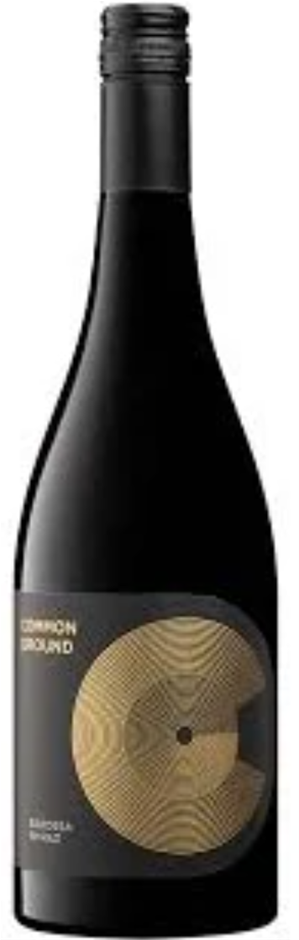 Common Ground Shiraz 2021 (6 x 750mL), B