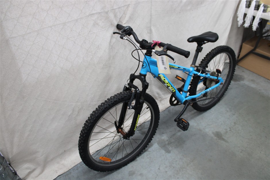 Avanti Shadow Blue Bicycle