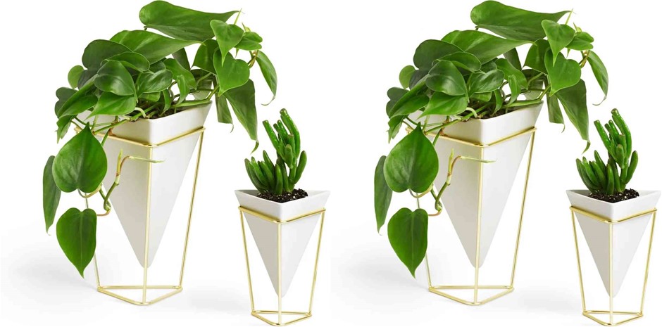 2 x UMBRA 1004372-524 Trigg Desktop Planter Vase & Geometric Container-for