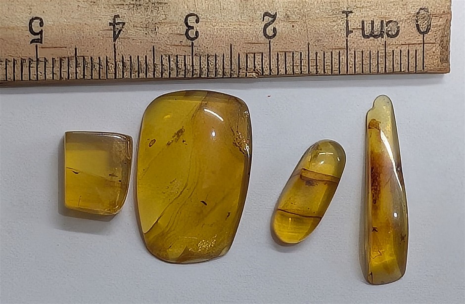 100 Million Old Fossil Burmese Amber With Inclusions