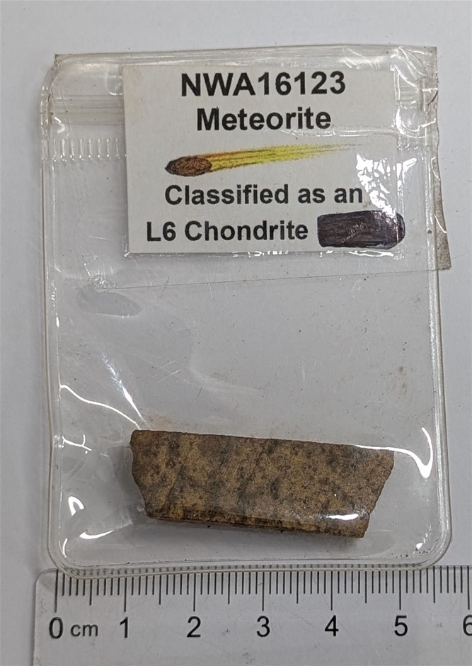 NWA16123 L6 Chondrite Meteorite