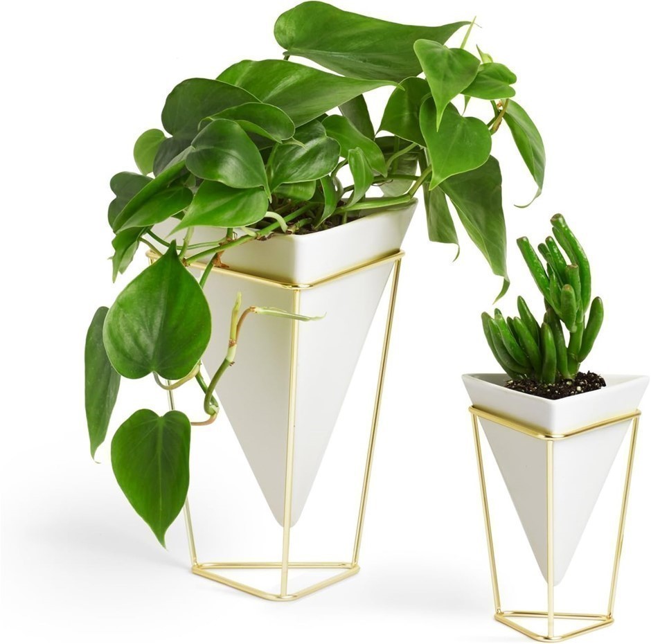 UMBRA 1004372-524 Trigg Desktop Planter Vase & Geometric Container-for Succ