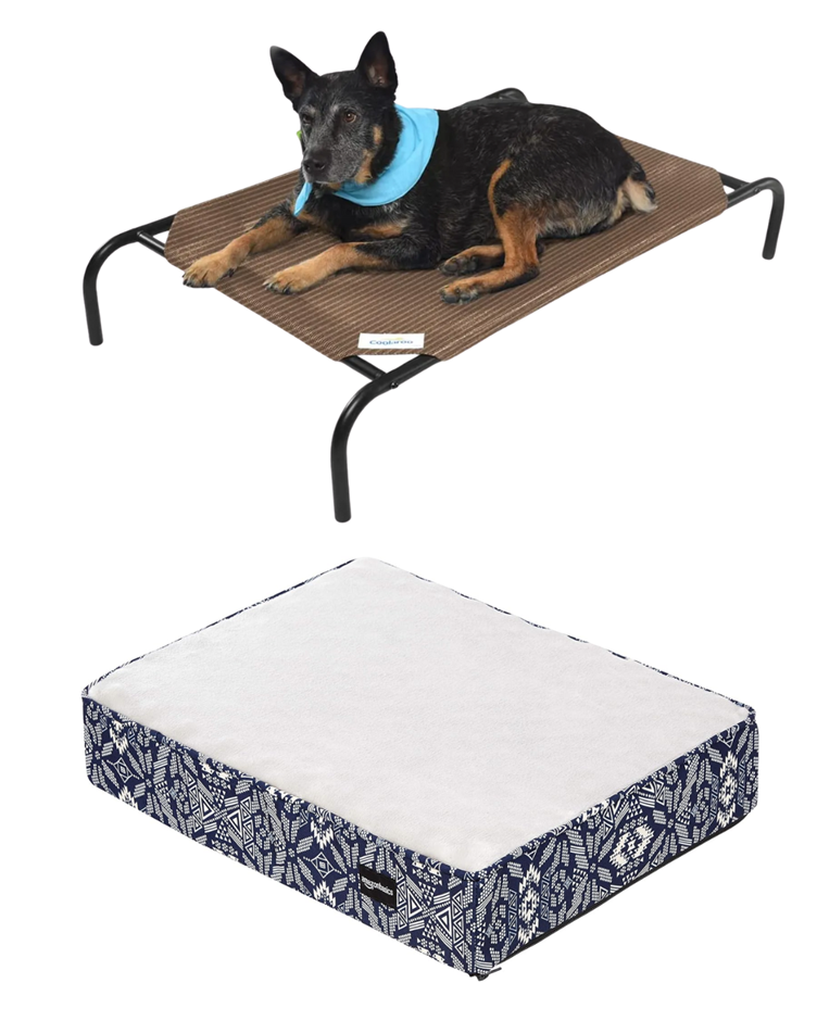 PET BUNDLE: AMAZON BASICS Foam Pet Bed, Size Small, Blue. + COOLAROO rigina