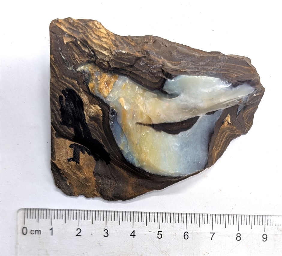 148 Gram Queensland BOULDER OPAL Rough