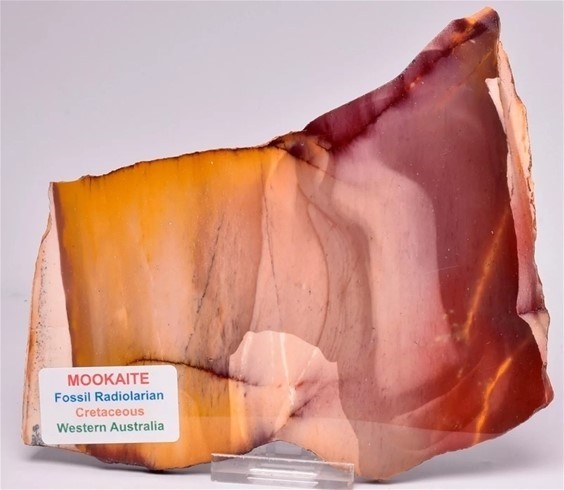 Collector MOOKAITE JASPER Slice, FOSSIL RADIOLARIAN Western Australia