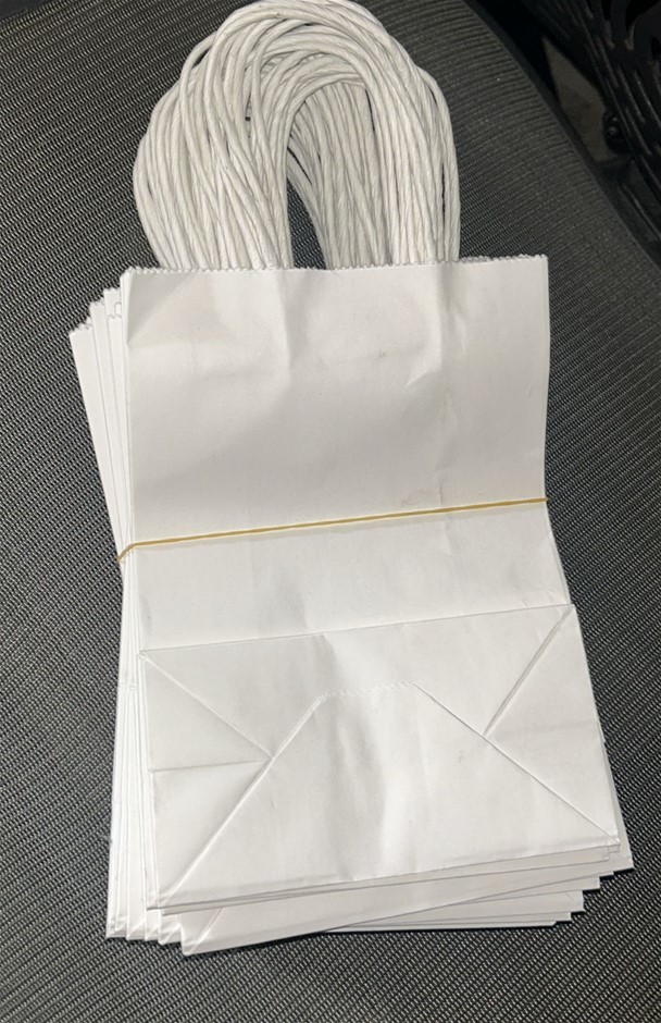 25x White Paper Bags