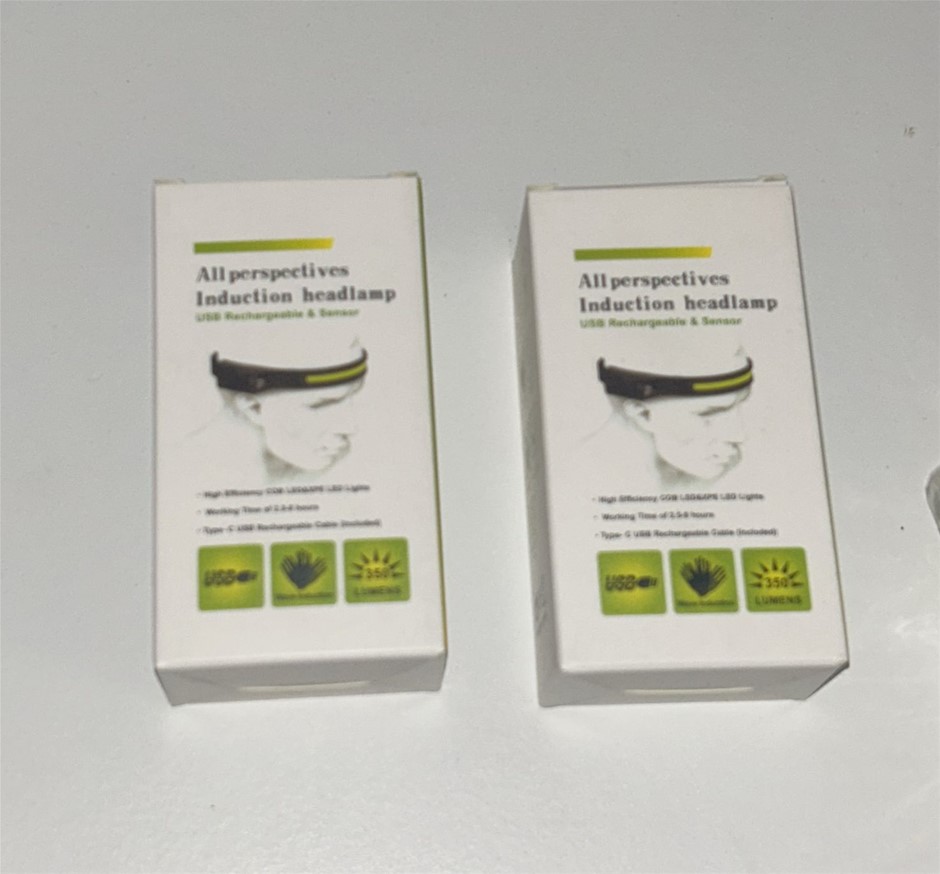 2x Induction Headlamps