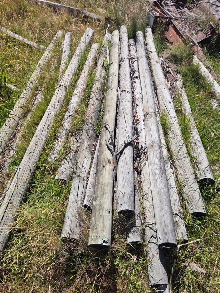 Quantity of 3 Metre Treated Posts