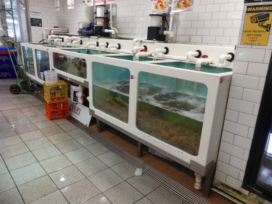 Live Seafood Holding System