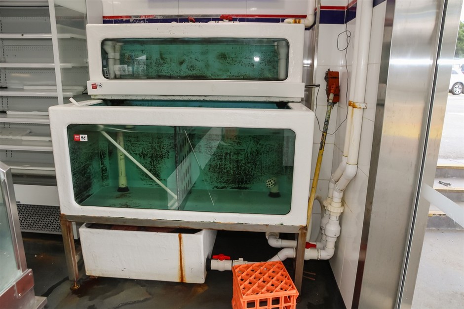 Live Seafood Holding System