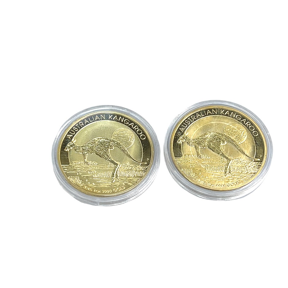 2 x Base Metal Coins in Plastic Capsule