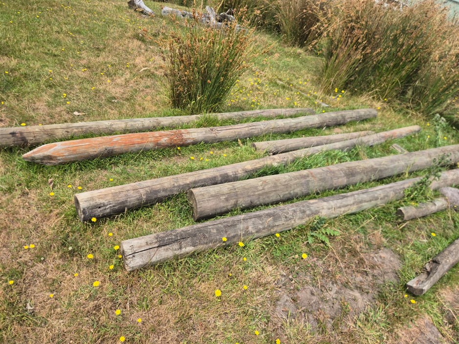 Quantity Used Treated Pine Posts
