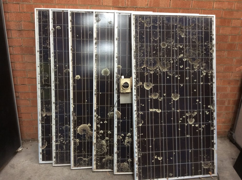 Assorted Medical Equipment, Outdoor Living & Power Tools