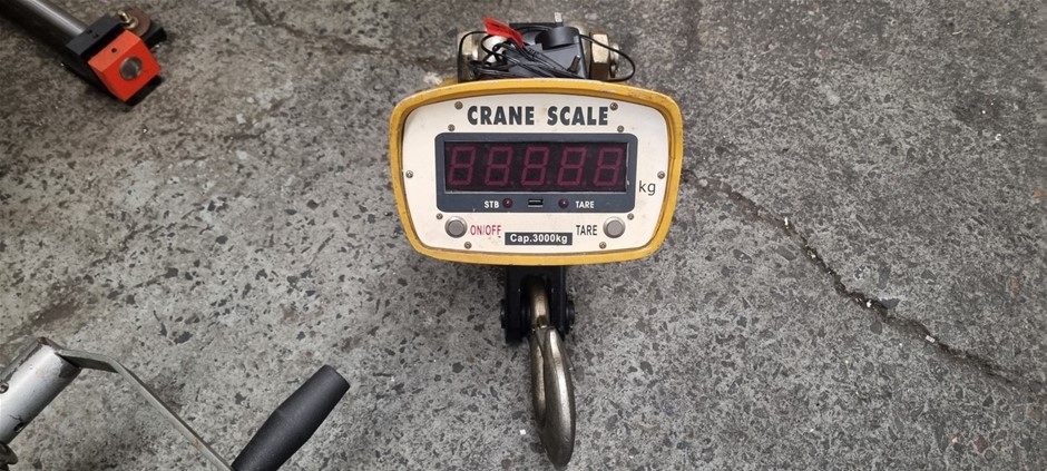 Crane mount scale 3000kg capacity