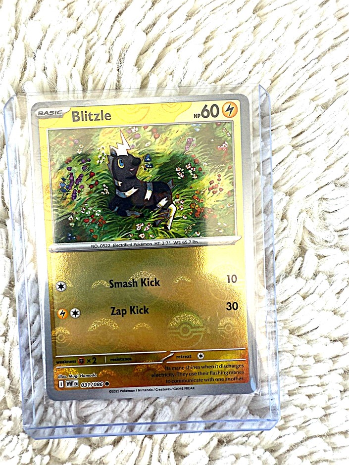 BLITZLE 031/086 POKEBALL FOIL ENG