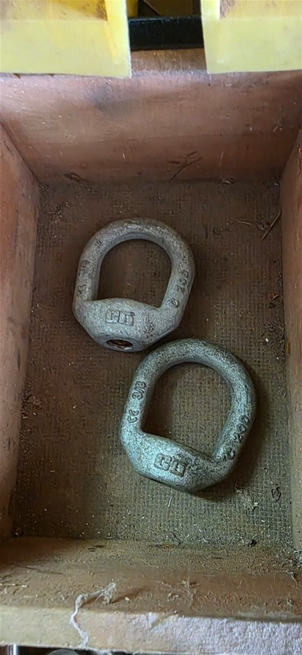 Crosby 3/8" Lifting Eye Nut