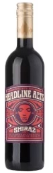 Headline Acts Shiraz (12x 750mL)