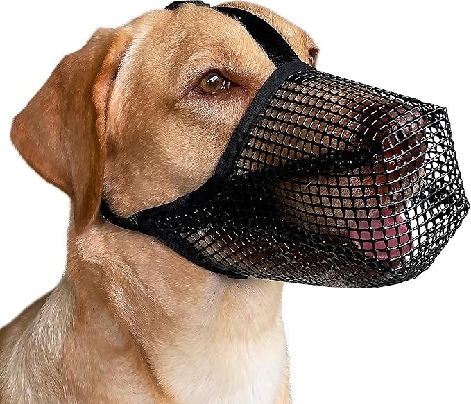 Dog Muzzle, Soft Mesh Covered Muzzles for Small Medium Large Dogs, Poisoned