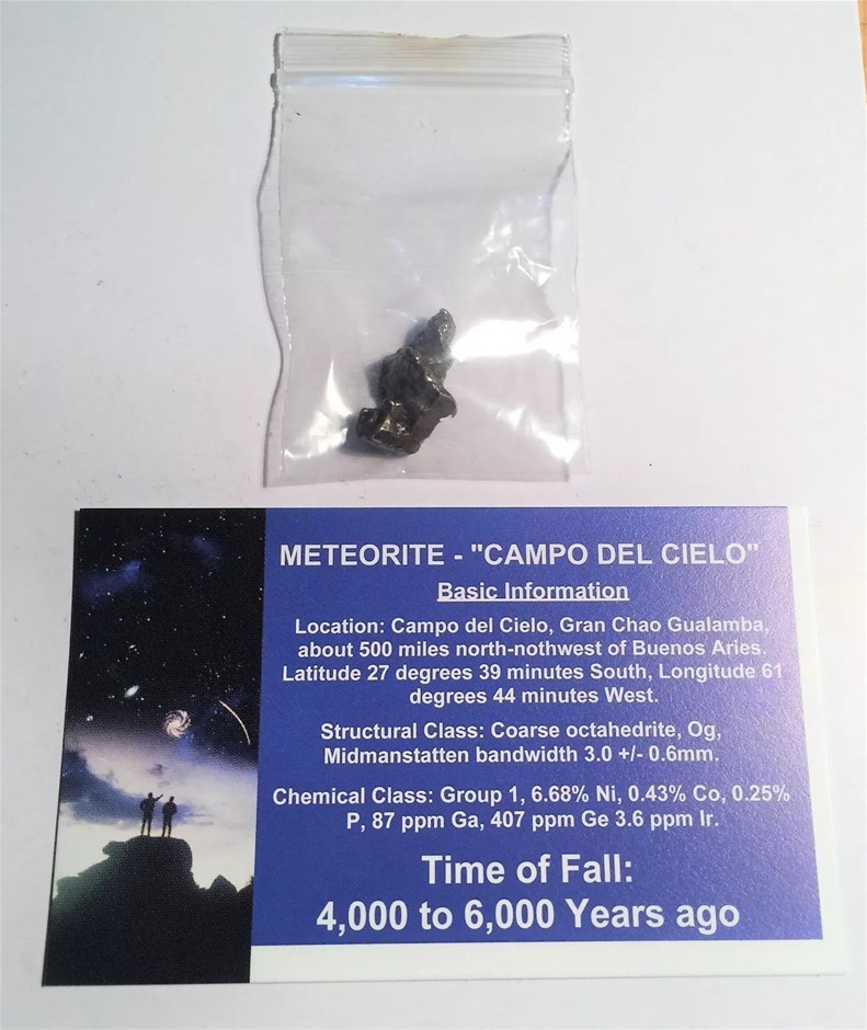 RARE" Meteorite "Campo Del Cielo" with Information Certificate