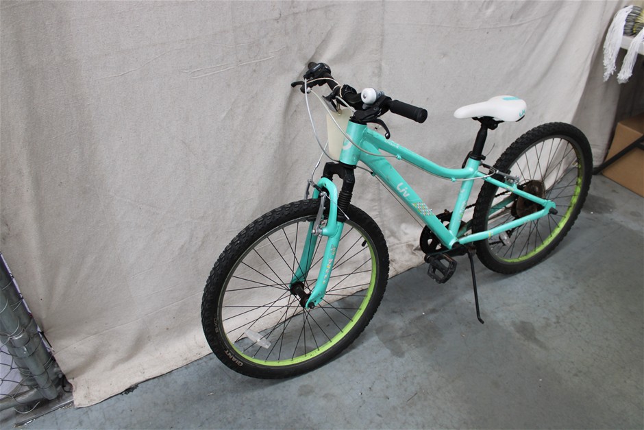Liv Enchant Teal Bicycle
