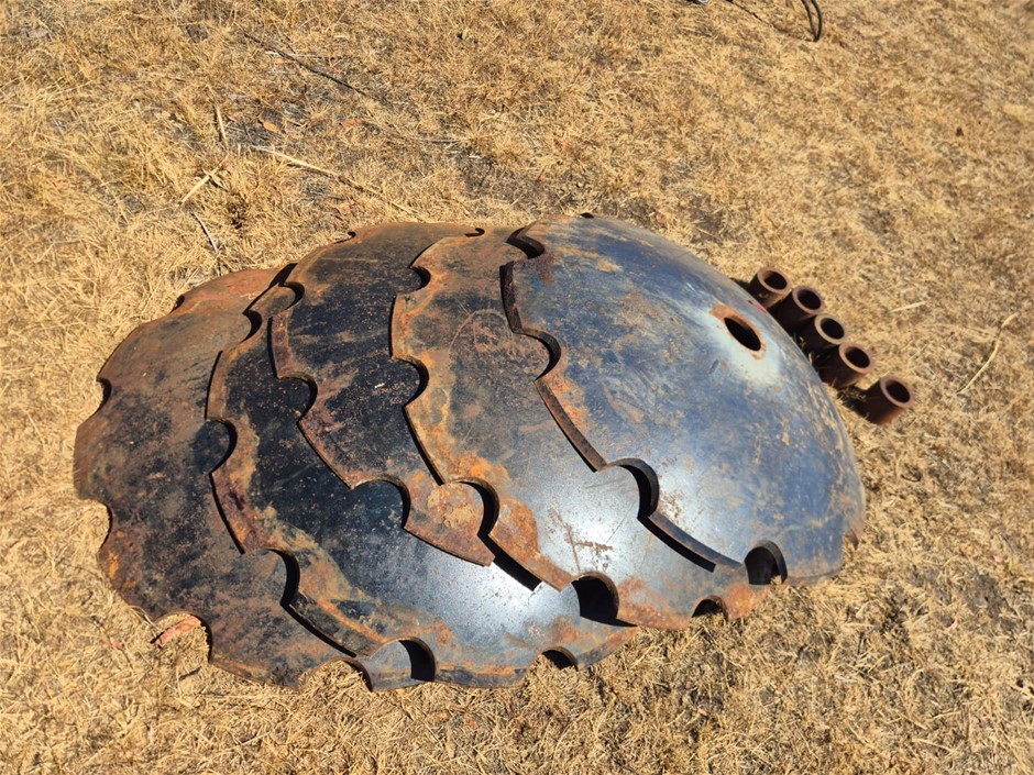 Unused Scalloped Disc Plates