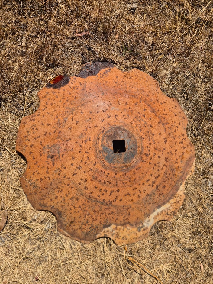 Used Scalloped Disc Plate - 650mm