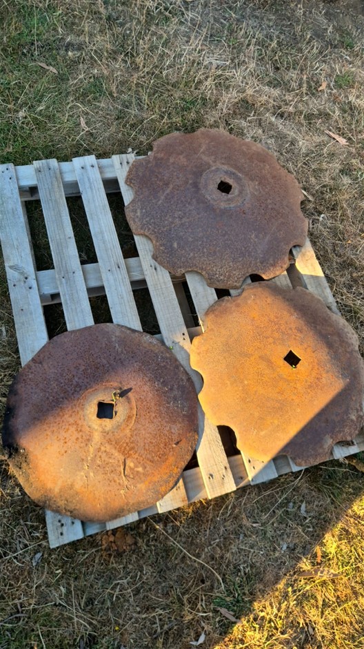 Assorted Scalloped Disc Plates