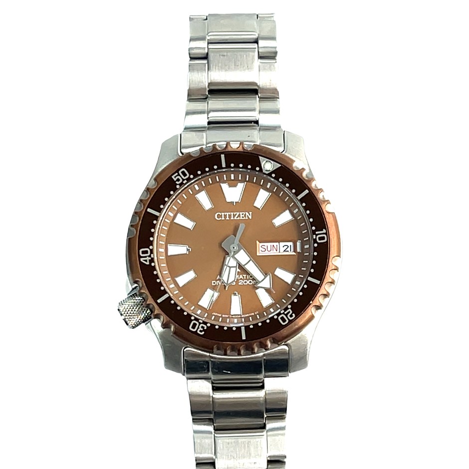 Citizen Promaster Limited Edition Automatic Divers Watch