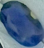 11.70 carat natural blue sapphire certified