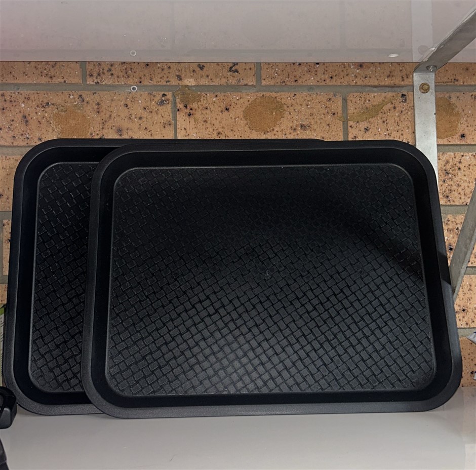 2x Coloured Universal Trays