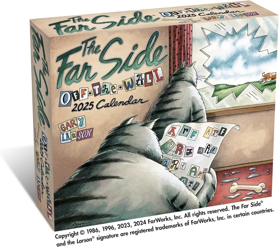 2 x ANDREW MCMEEL The Far Side(r) 2025 Off-The-Wall Day-To-Day Calendar.