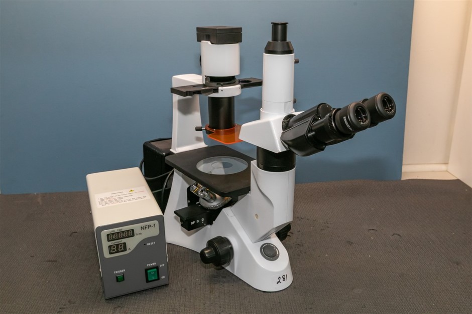 Microscope inverted trinocular