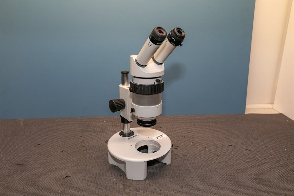 Microscope stereo binocular