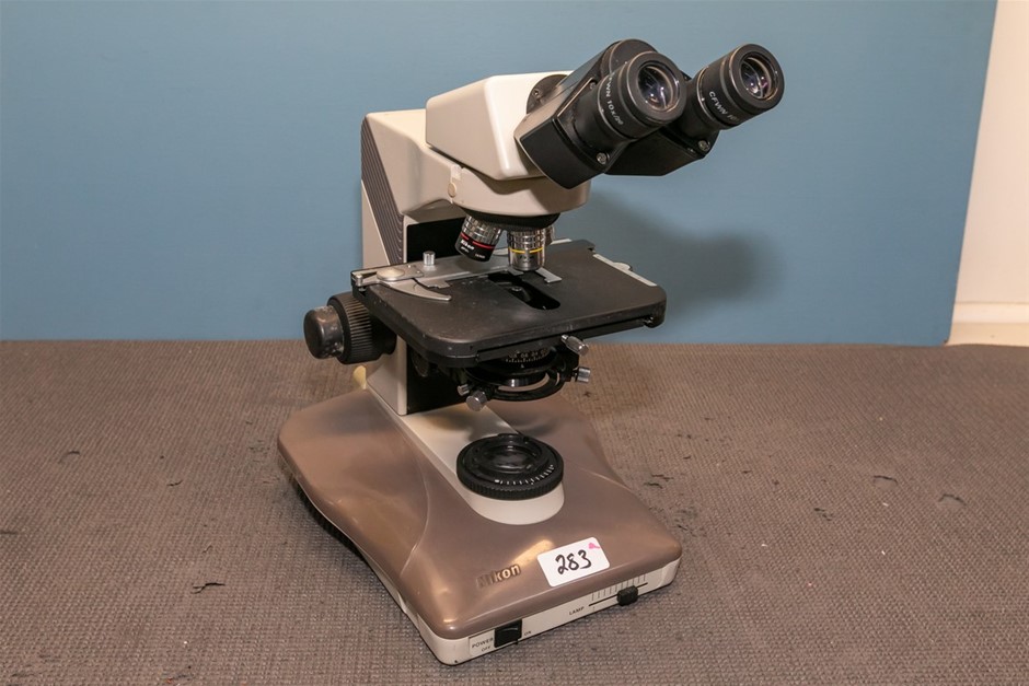 Microscope binocular