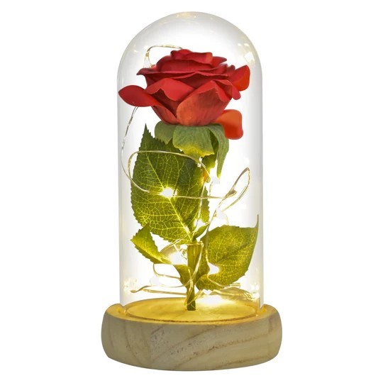 Valentine Gift Beauty & The Beast Preserved Roses In Glass Galaxy Flower