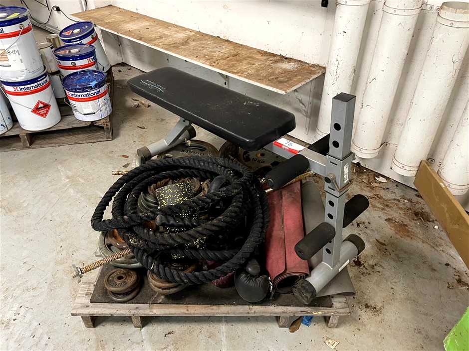 <p>Gym Equipment </p>