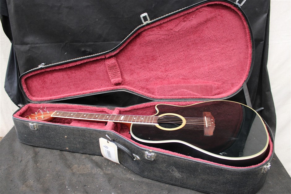 Applause Guitar in Case