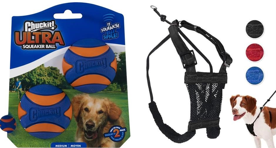 BUNDLE OF CHUCKIT! 33068 Ultra Squeaker - 2pk, Blue & Orange, Medium X SPOR