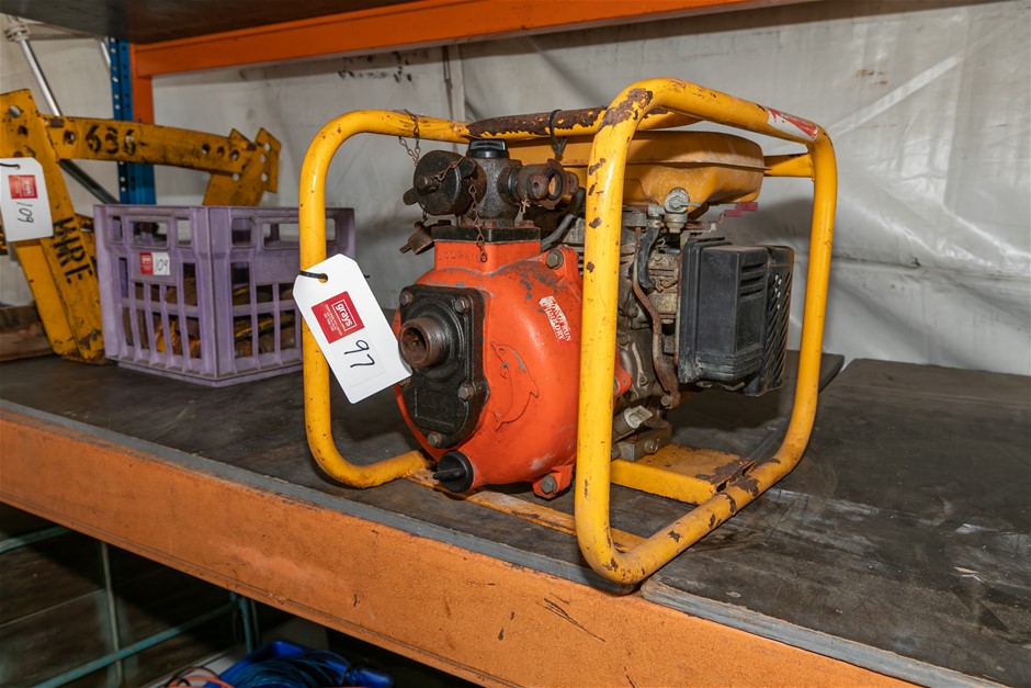 Dolphin Petrol Water Pump