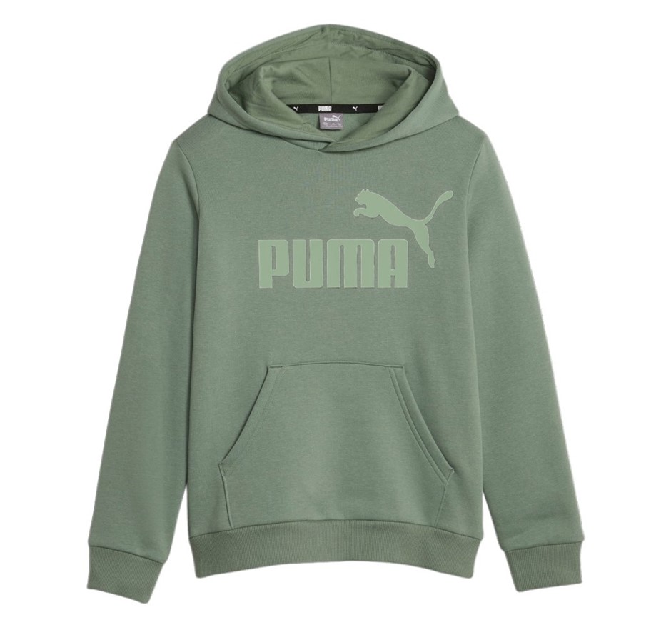 PUMA Boys' ESS+ Tonal Fleece Hoodie, Size M (12), 66% Cotton, SeaGreen/Euca