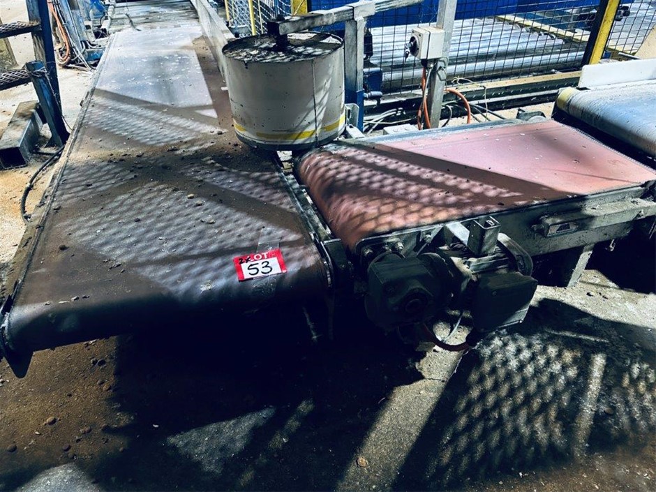 2 x Conveyor Sections Motorised