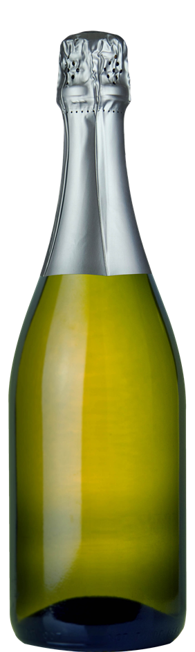 Winemakers Choice Riesling Cleanskins 2020 (12x 750mL) Bendigo